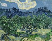 Vincent Van Gogh The Olive Trees Germany oil painting artist